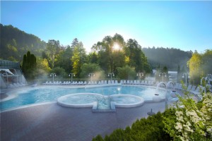 Terme Topolšica - Hotel Vesna 3*